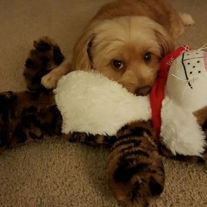 Meet your Posher, Kathy